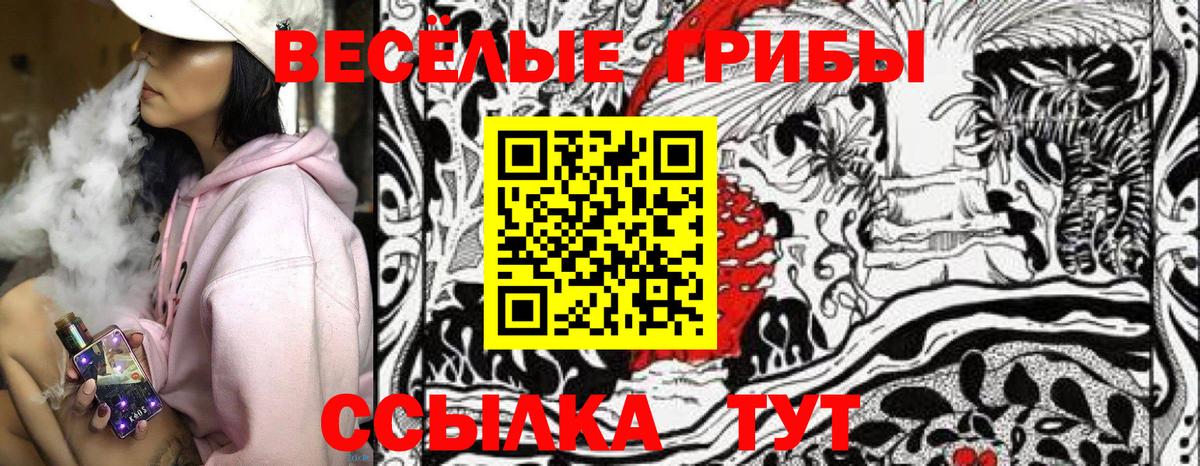 Котельники  Галлюциногенные грибы Cubensis  Псилоцибиновые грибы Cubensis  Вход с VPN 