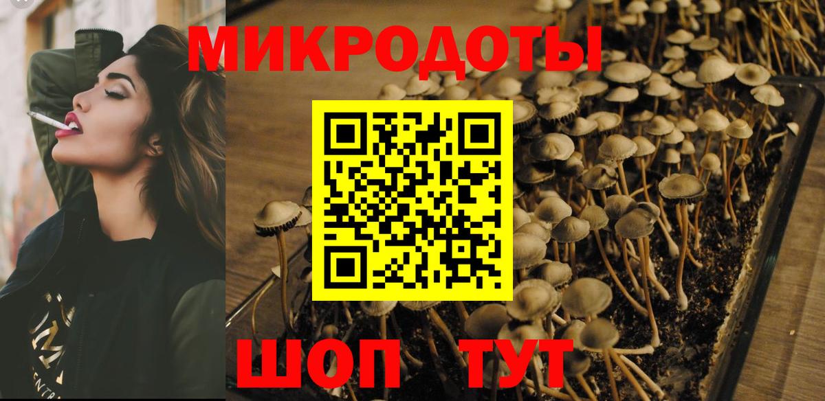 Псилоцибиновые грибы GOLDEN TEACHER Котельники